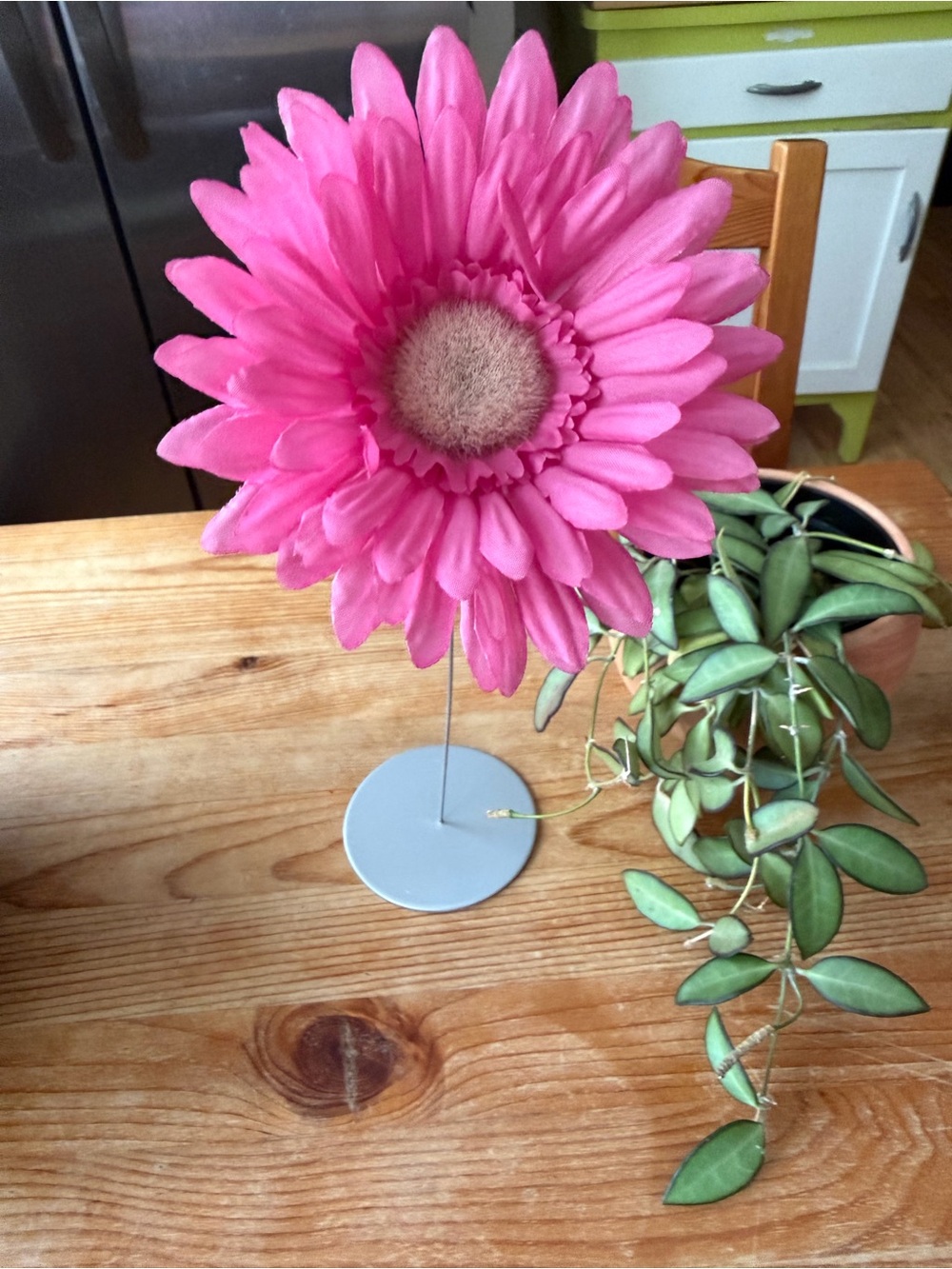 Vintage Y2K Daisy Decor